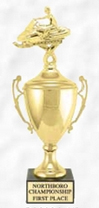14 inch trophy